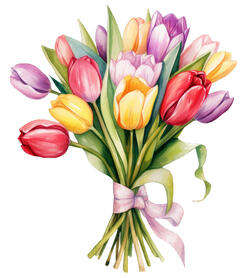 Tulips #tulips