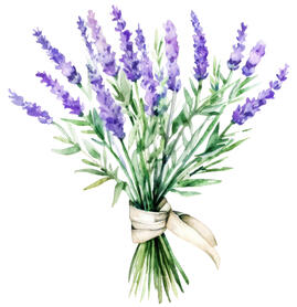 Lavender Lavender
